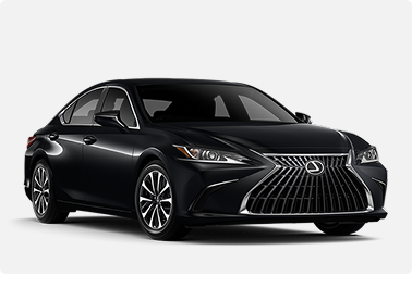 Executive
